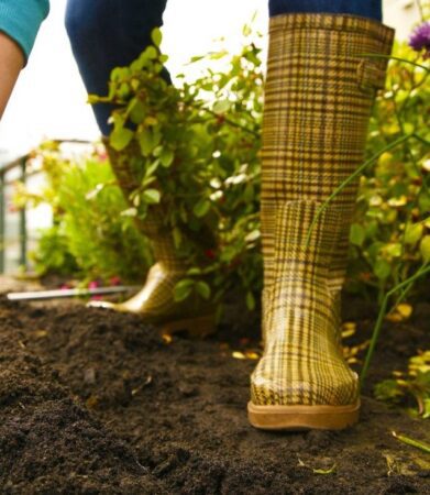 Starting a garden