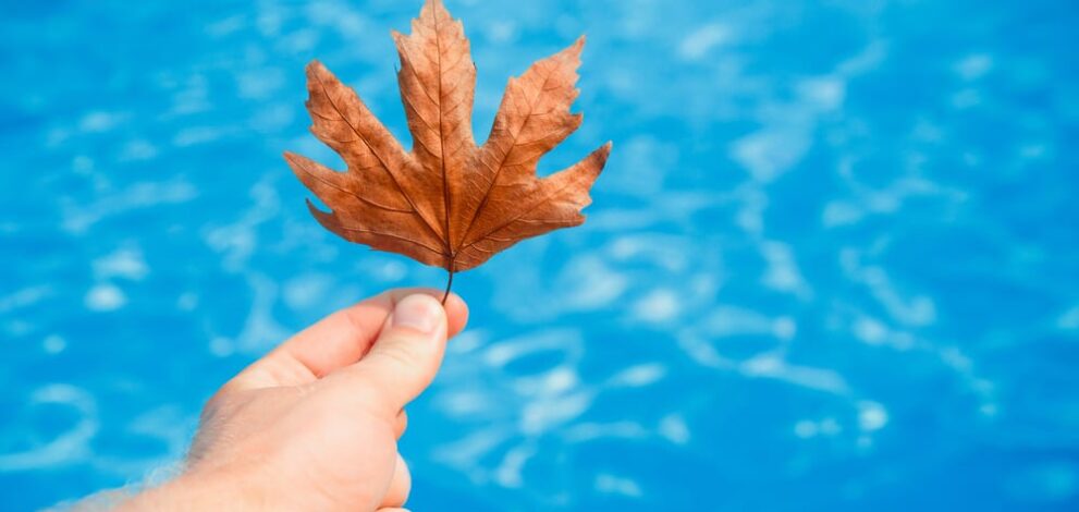 here's 4 Important Pool Closing Tips