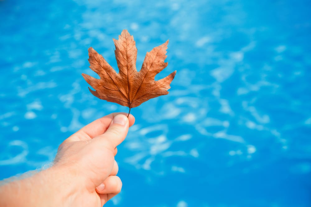 here's 4 Important Pool Closing Tips