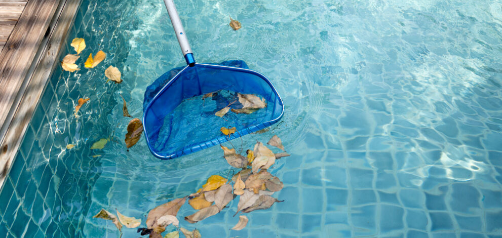 Cleaning,Swimming,Pool,Of,Fallen,Leaves,With,Blue,Skimmer,In